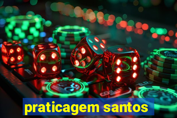 praticagem santos